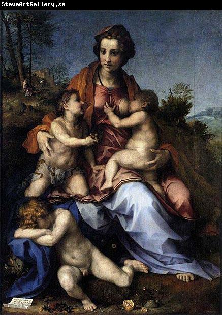 Andrea del Sarto Charity